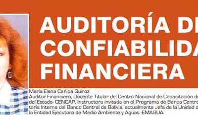 AUDITORIA DE CONFIABILIDAD O FINANCIERA